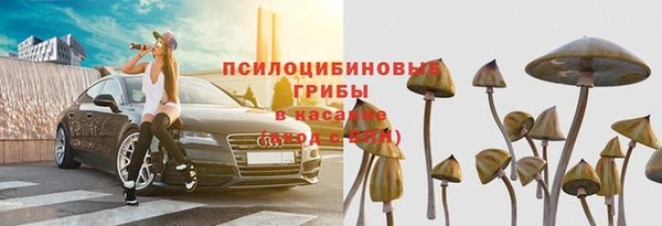 ПСИЛОЦИБИНОВЫЕ ГРИБЫ Абдулино