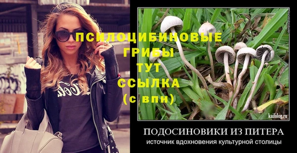 спайс Алексин