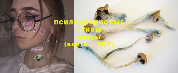 ПСИЛОЦИБИНОВЫЕ ГРИБЫ Алексеевка
