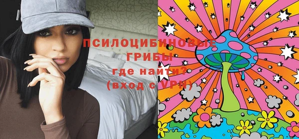 ПСИЛОЦИБИНОВЫЕ ГРИБЫ Абдулино