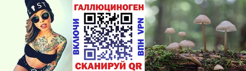 как найти закладки  Юхнов  Псилоцибиновые грибы Psilocybine cubensis 